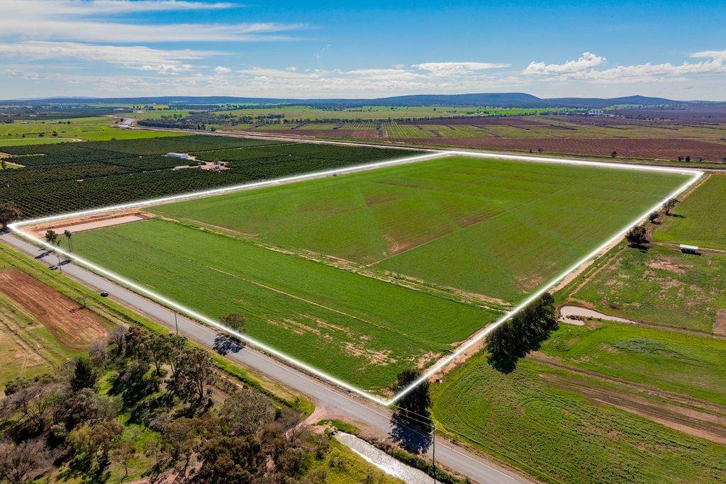 77 Fivebough Road, Leeton For Sale by Farmbuy.com - image 1