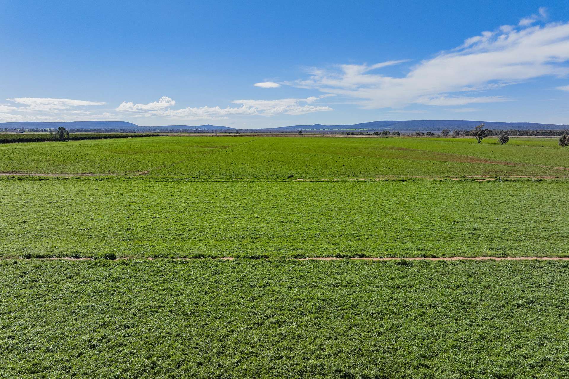 77 Fivebough Road, Leeton For Sale by Farmbuy.com - image 9