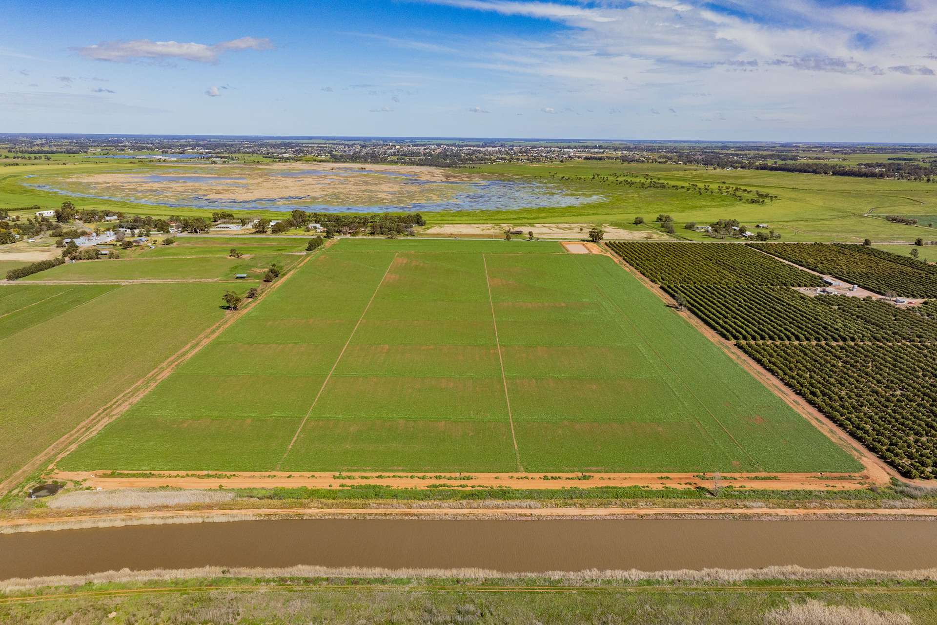 77 Fivebough Road, Leeton For Sale by Farmbuy.com - image 5