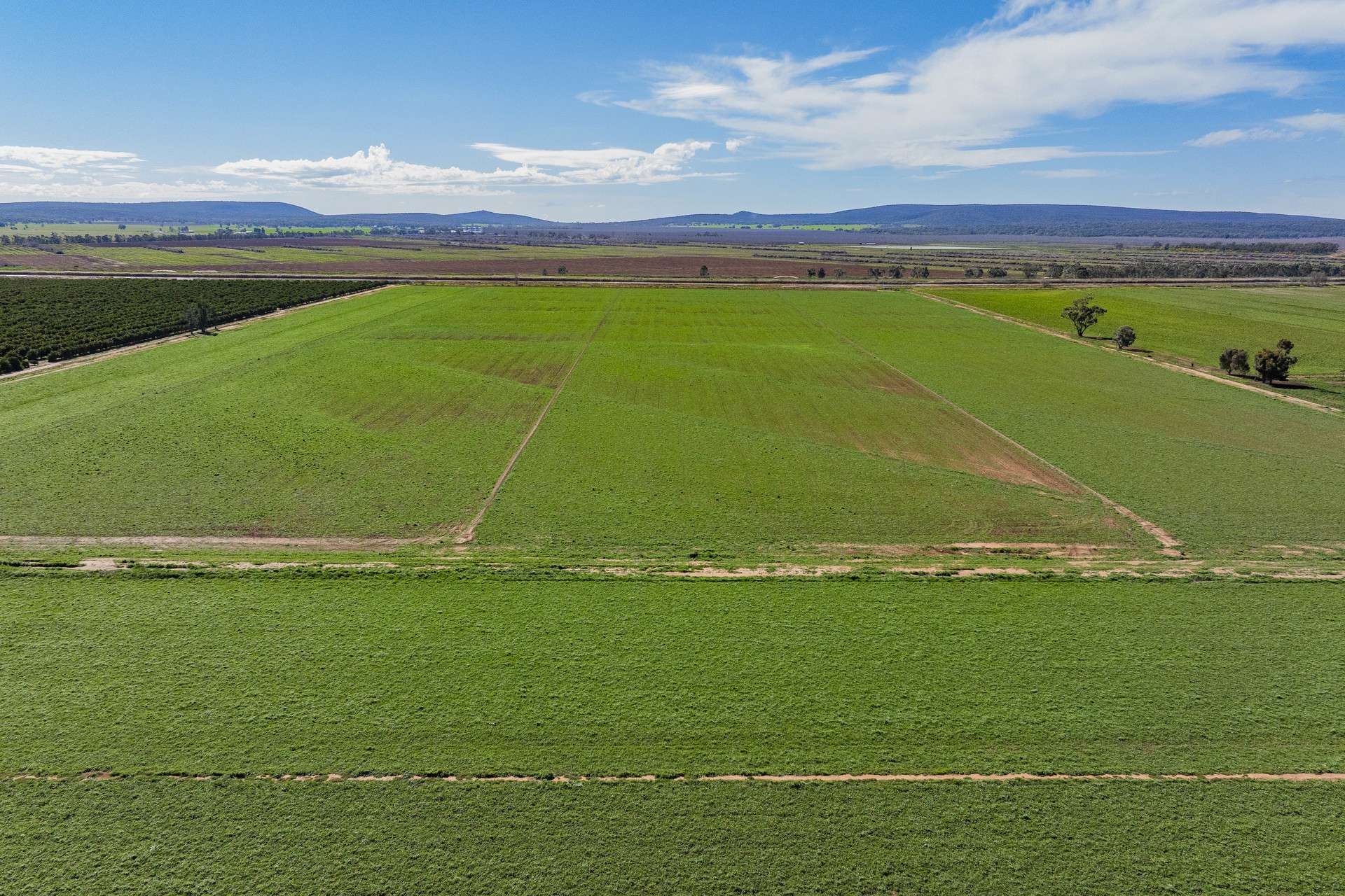77 Fivebough Road, Leeton For Sale by Farmbuy.com - image 4