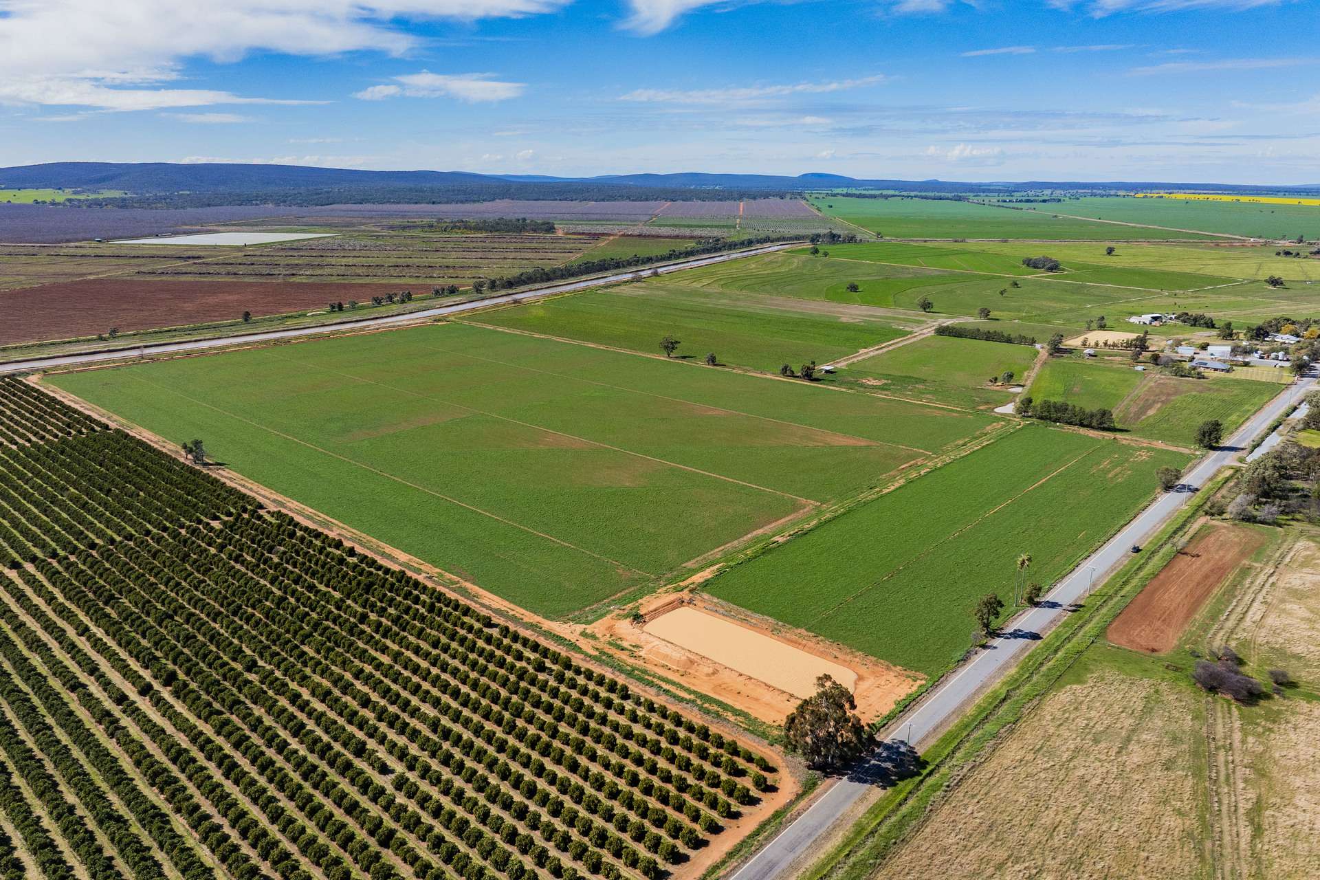 77 Fivebough Road, Leeton For Sale by Farmbuy.com - image 7