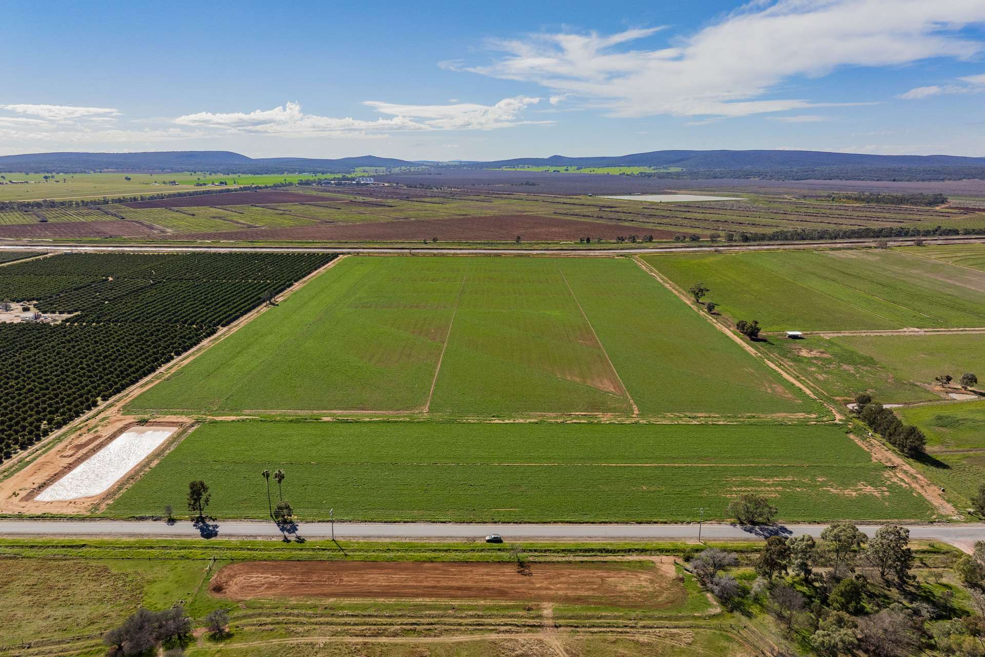 77 Fivebough Road, Leeton For Sale by Farmbuy.com - image 3