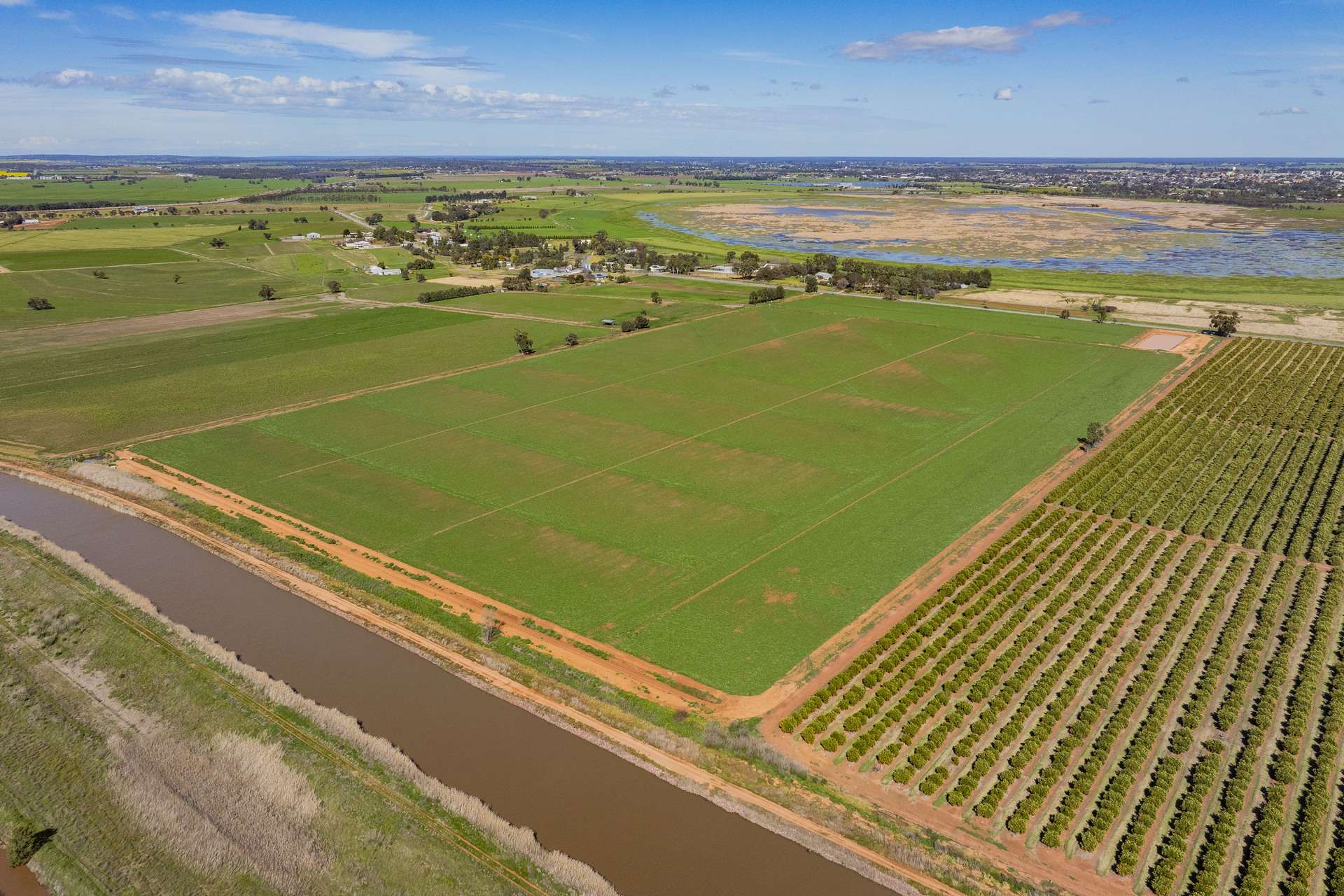 77 Fivebough Road, Leeton For Sale by Farmbuy.com - image 2