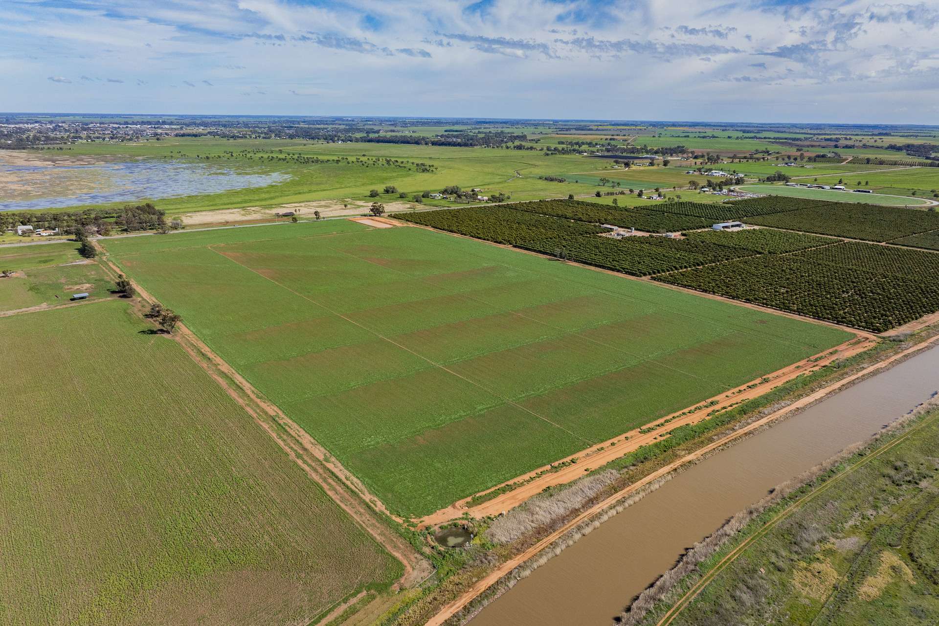 77 Fivebough Road, Leeton For Sale by Farmbuy.com - image 8