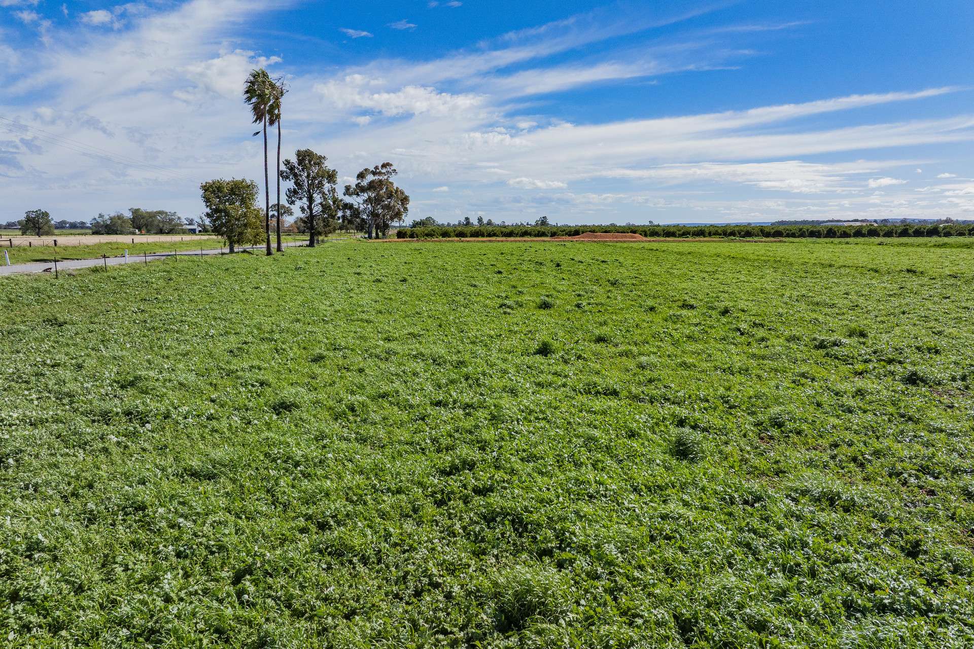 77 Fivebough Road, Leeton For Sale by Farmbuy.com - image 10