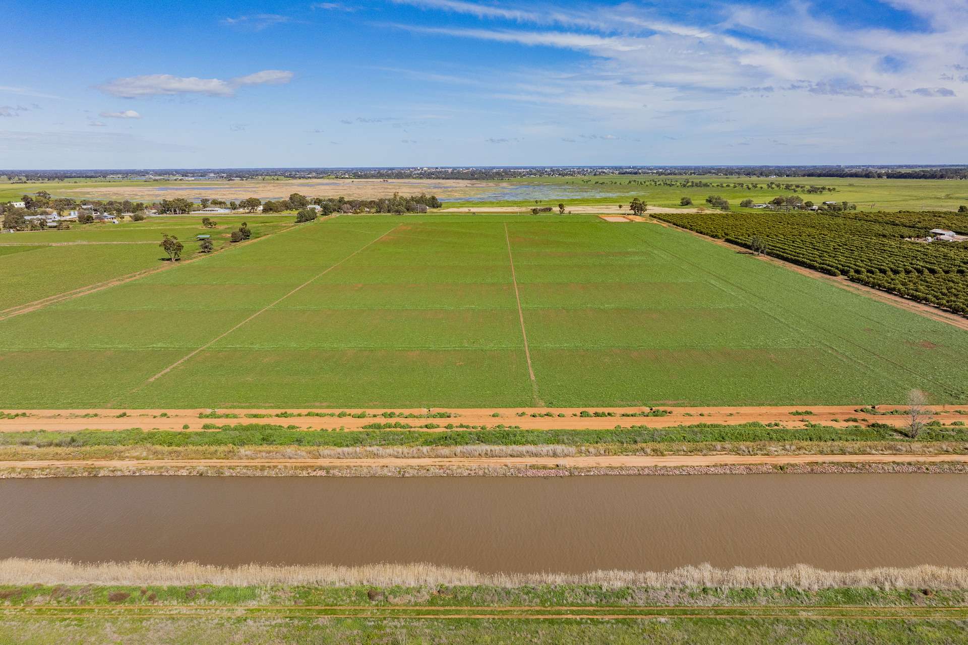 77 Fivebough Road, Leeton For Sale by Farmbuy.com - image 6
