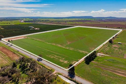 Farm For Sale - NSW - Leeton - 2705 - A Highly Developed Irrigation Asset in the Heart of the Murrumbidgee 