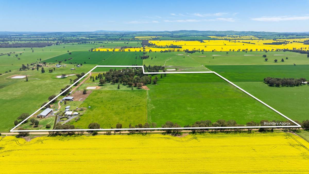 245 Merri Meric Road, Henty For Sale by Farmbuy.com - image 31