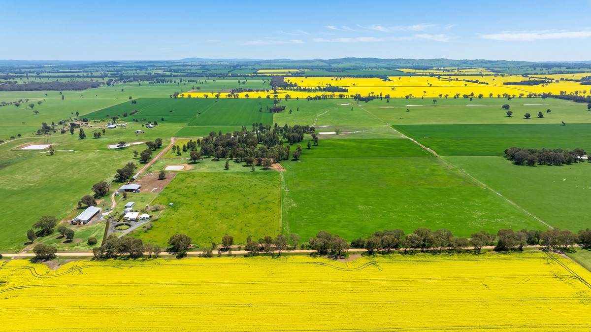 245 Merri Meric Road, Henty For Sale by Farmbuy.com - image 5