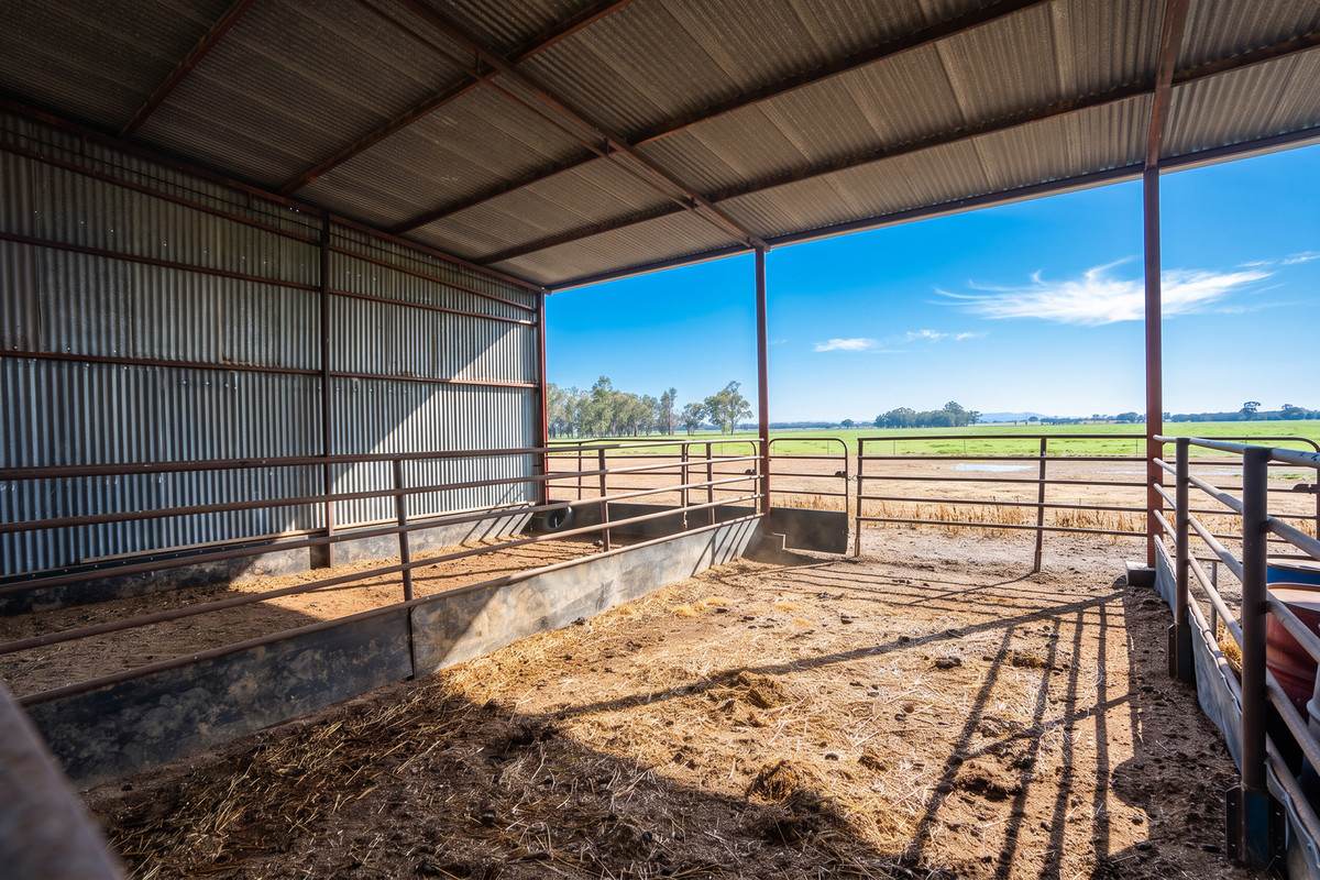 245 Merri Meric Road, Henty For Sale by Farmbuy.com - image 28