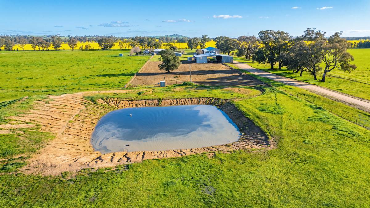 245 Merri Meric Road, Henty For Sale by Farmbuy.com - image 29