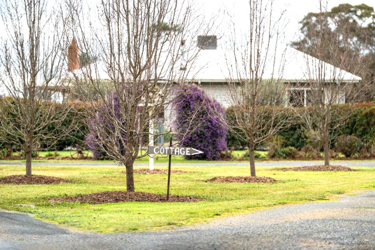 245 Merri Meric Road, Henty For Sale by Farmbuy.com - image 20
