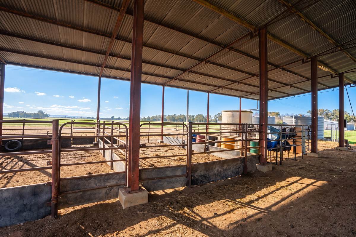 245 Merri Meric Road, Henty For Sale by Farmbuy.com - image 27