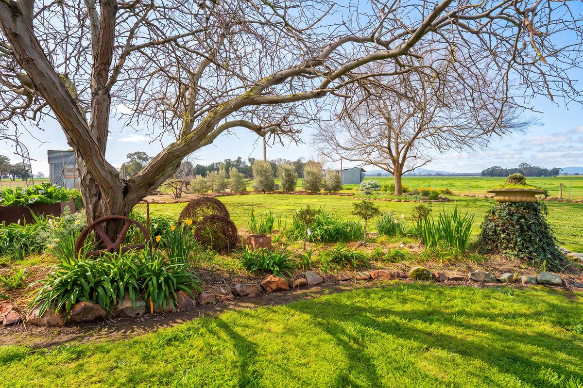 245 Merri Meric Road, Henty For Sale by Farmbuy.com - image 19