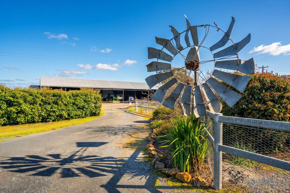 245 Merri Meric Road, Henty For Sale by Farmbuy.com - image 23