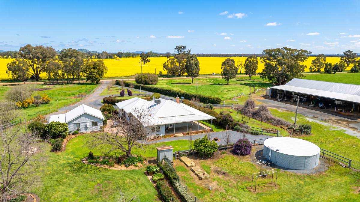 245 Merri Meric Road, Henty For Sale by Farmbuy.com - image 18