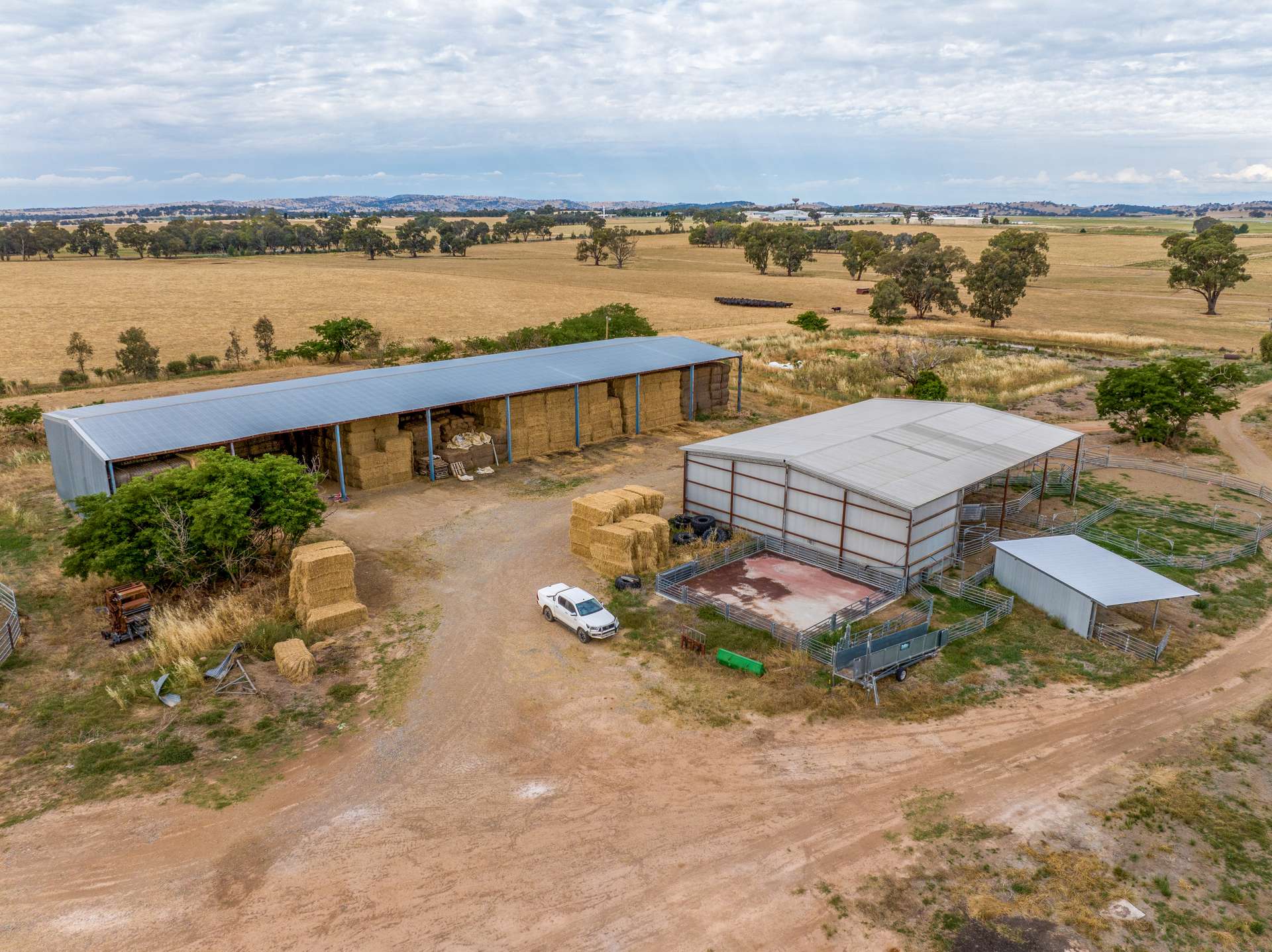 'AVONDALE' 119 Elizabeth Avenue, Forest Hill For Sale by Farmbuy.com - image 11