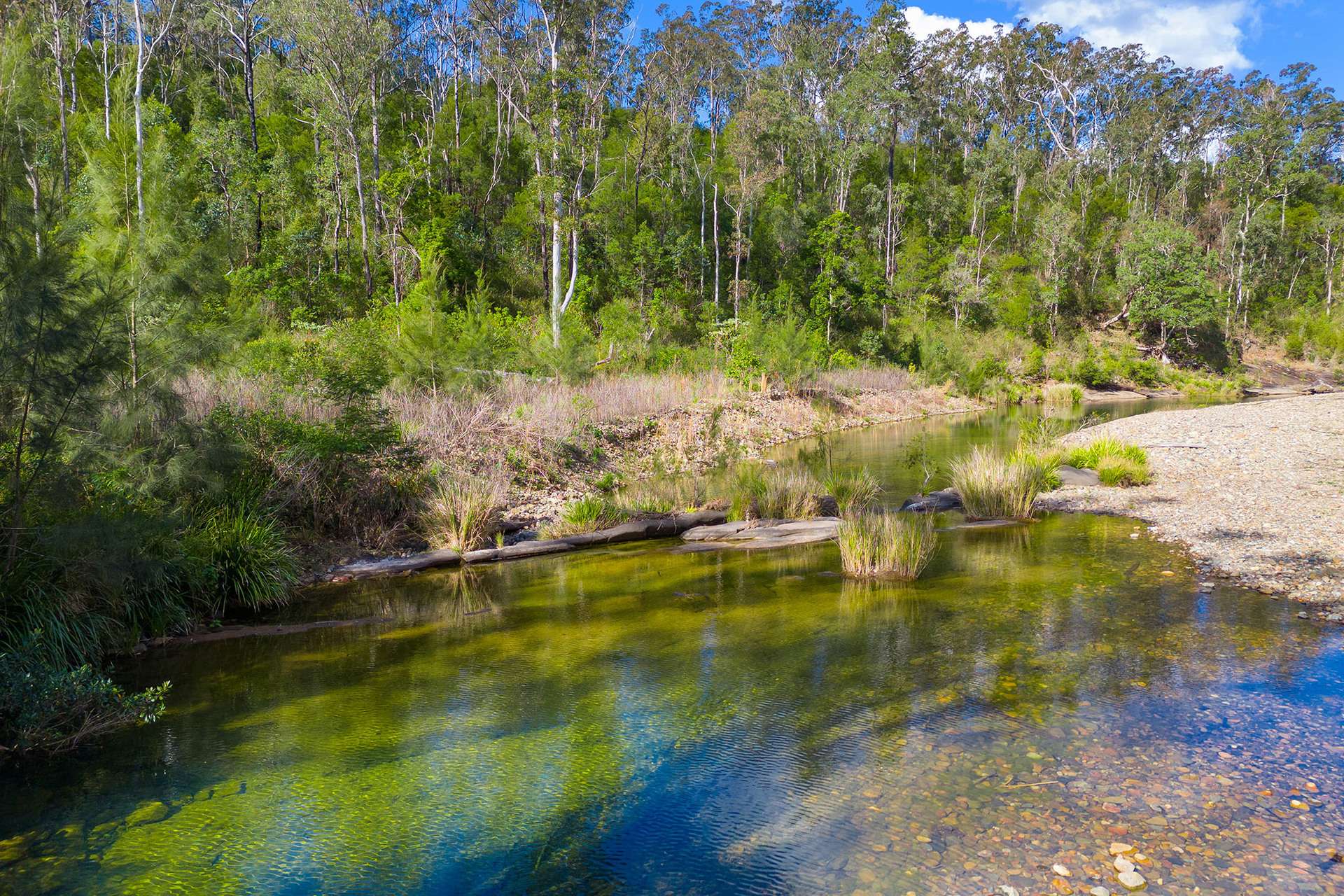 1124 Dungay Creek Road, Wittitrin For Sale by Farmbuy.com - image 33