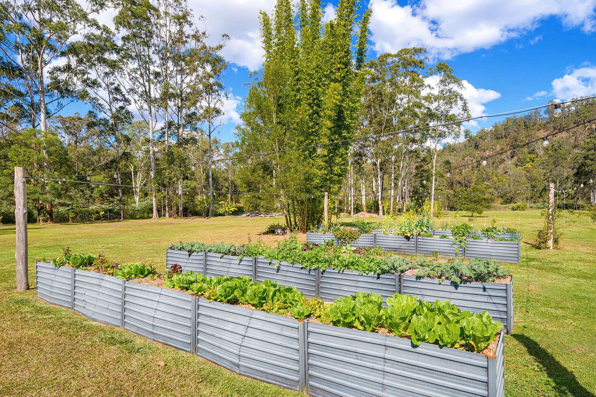 1124 Dungay Creek Road, Wittitrin For Sale by Farmbuy.com - image 25