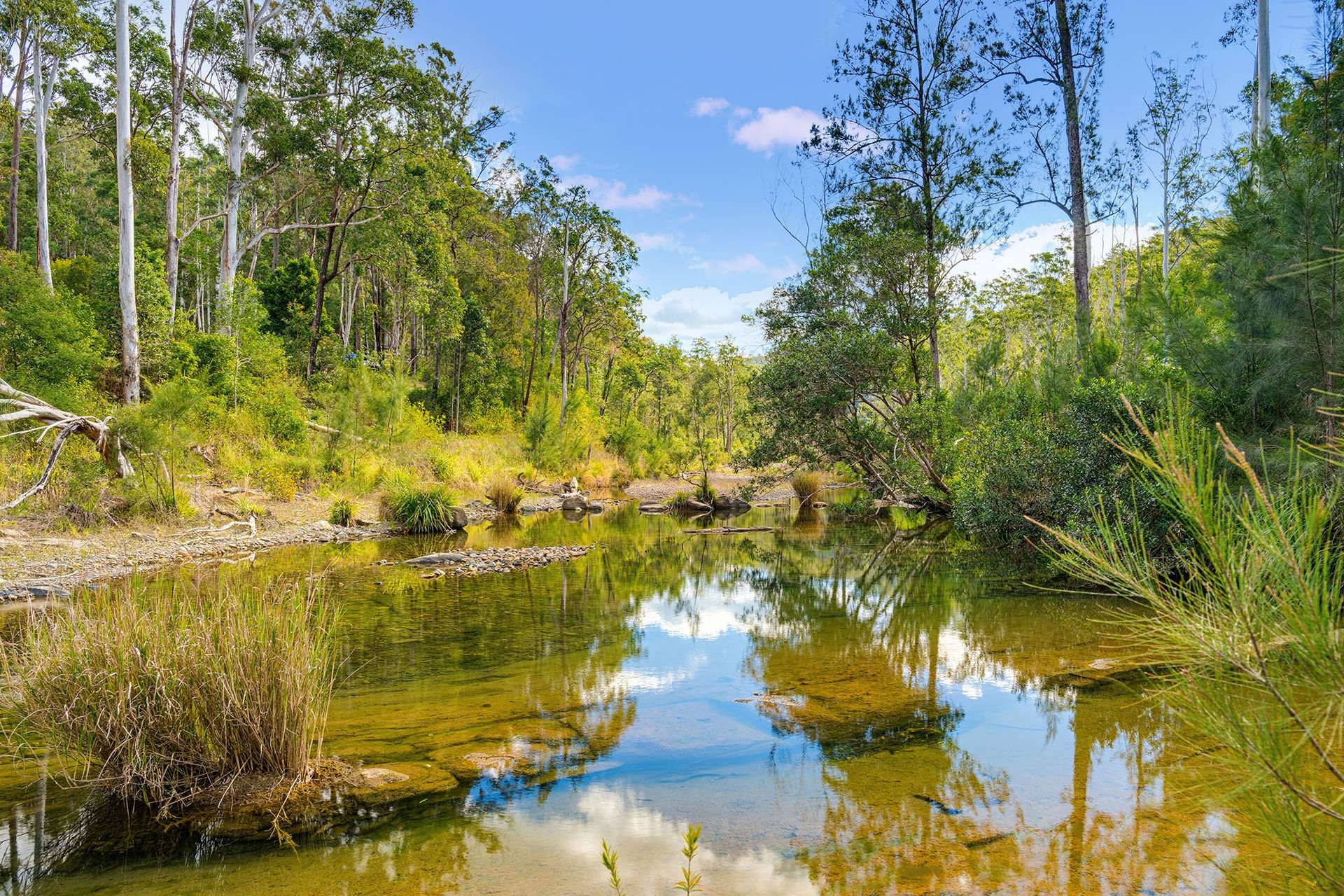 1124 Dungay Creek Road, Wittitrin For Sale by Farmbuy.com - image 24