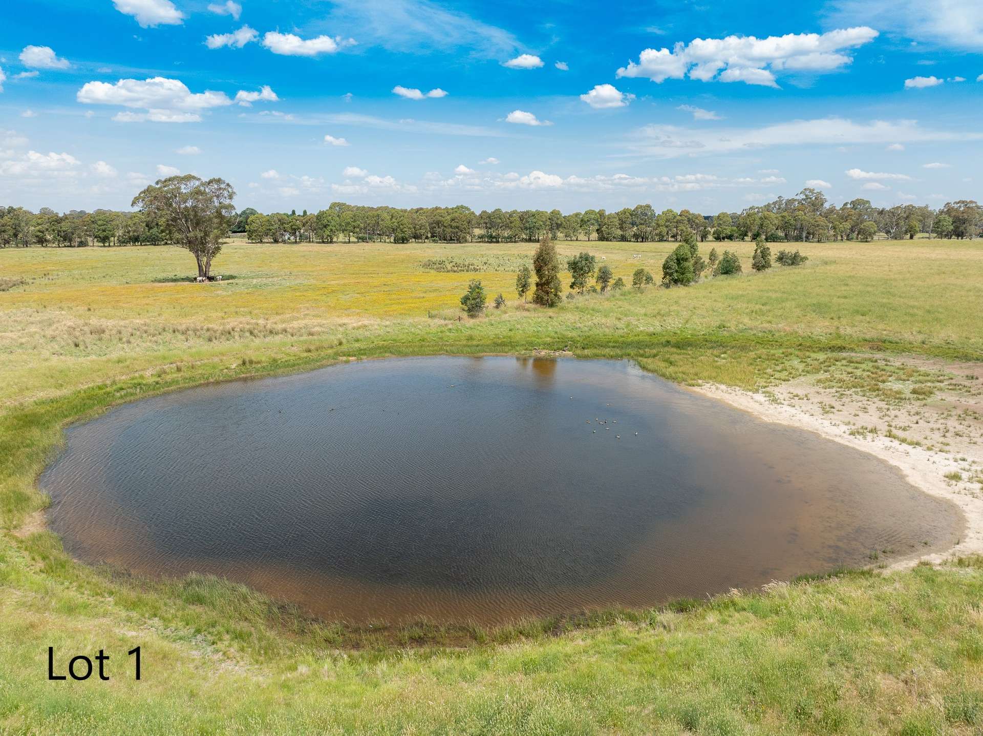 Lot 1 & 2, 56 Orchard Road, Springside For Sale by Farmbuy.com - image 19