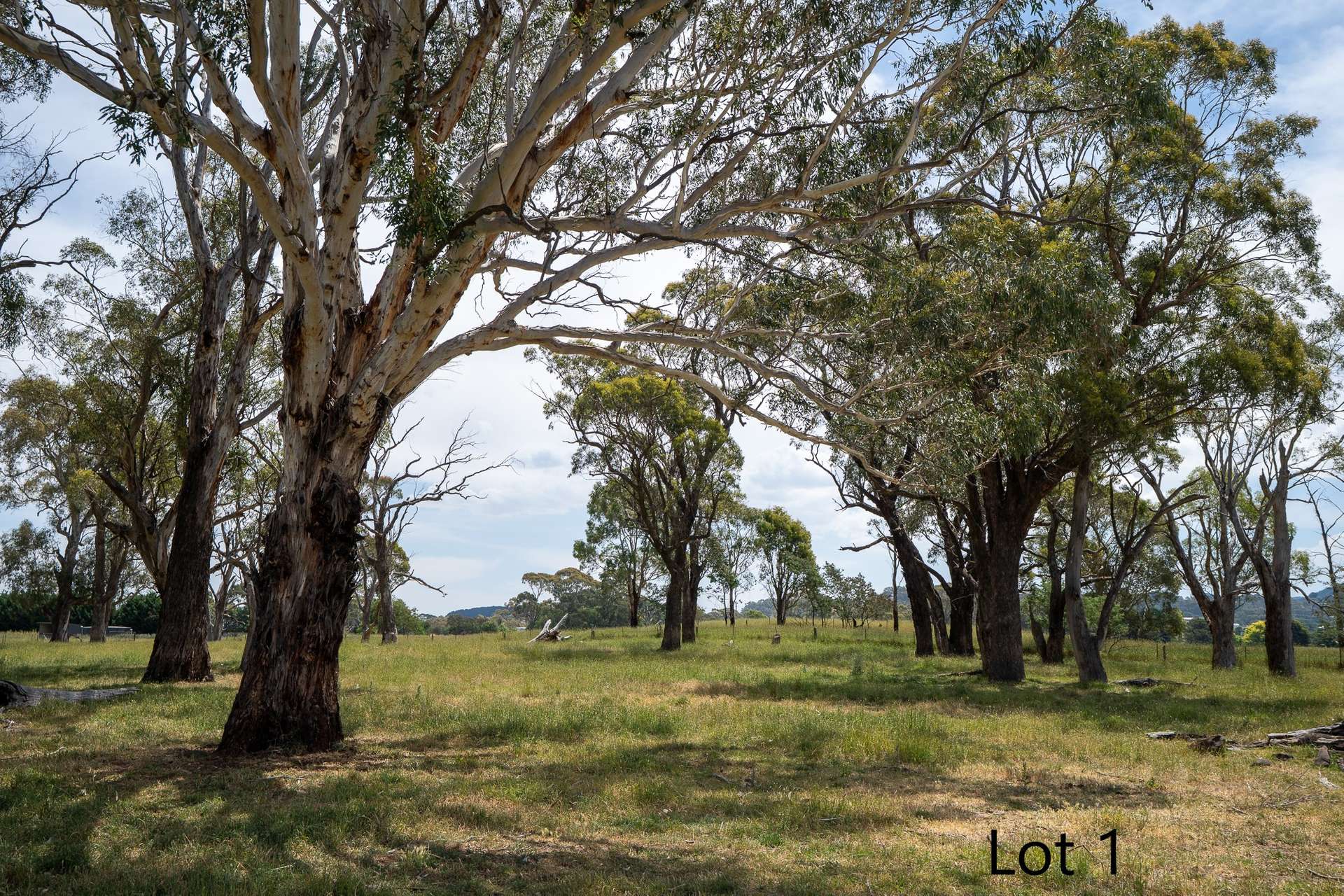 Lot 1 & 2, 56 Orchard Road, Springside For Sale by Farmbuy.com - image 16
