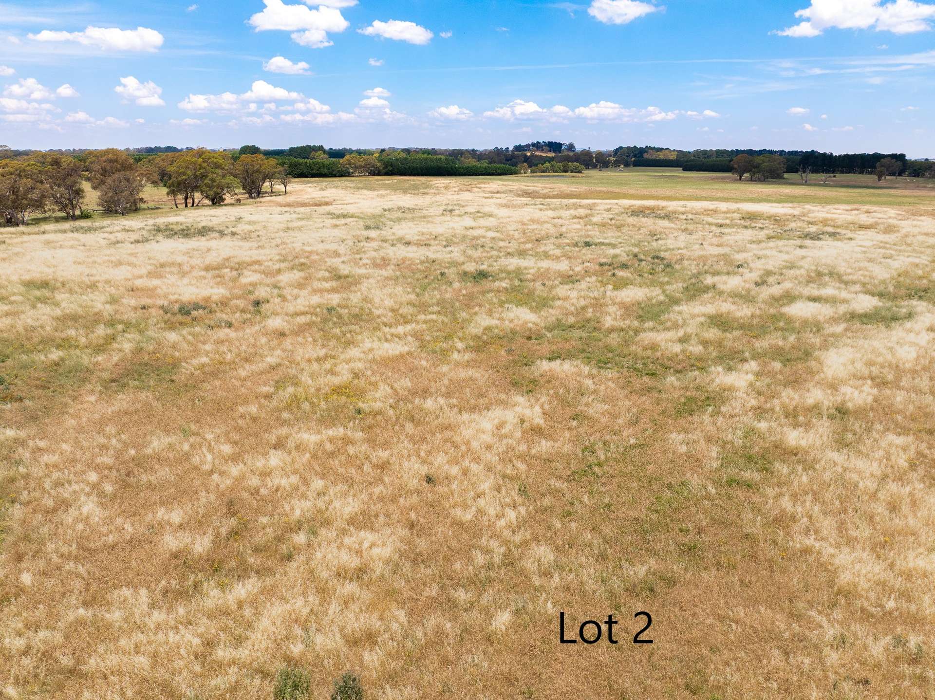 Lot 1 & 2, 56 Orchard Road, Springside For Sale by Farmbuy.com - image 34