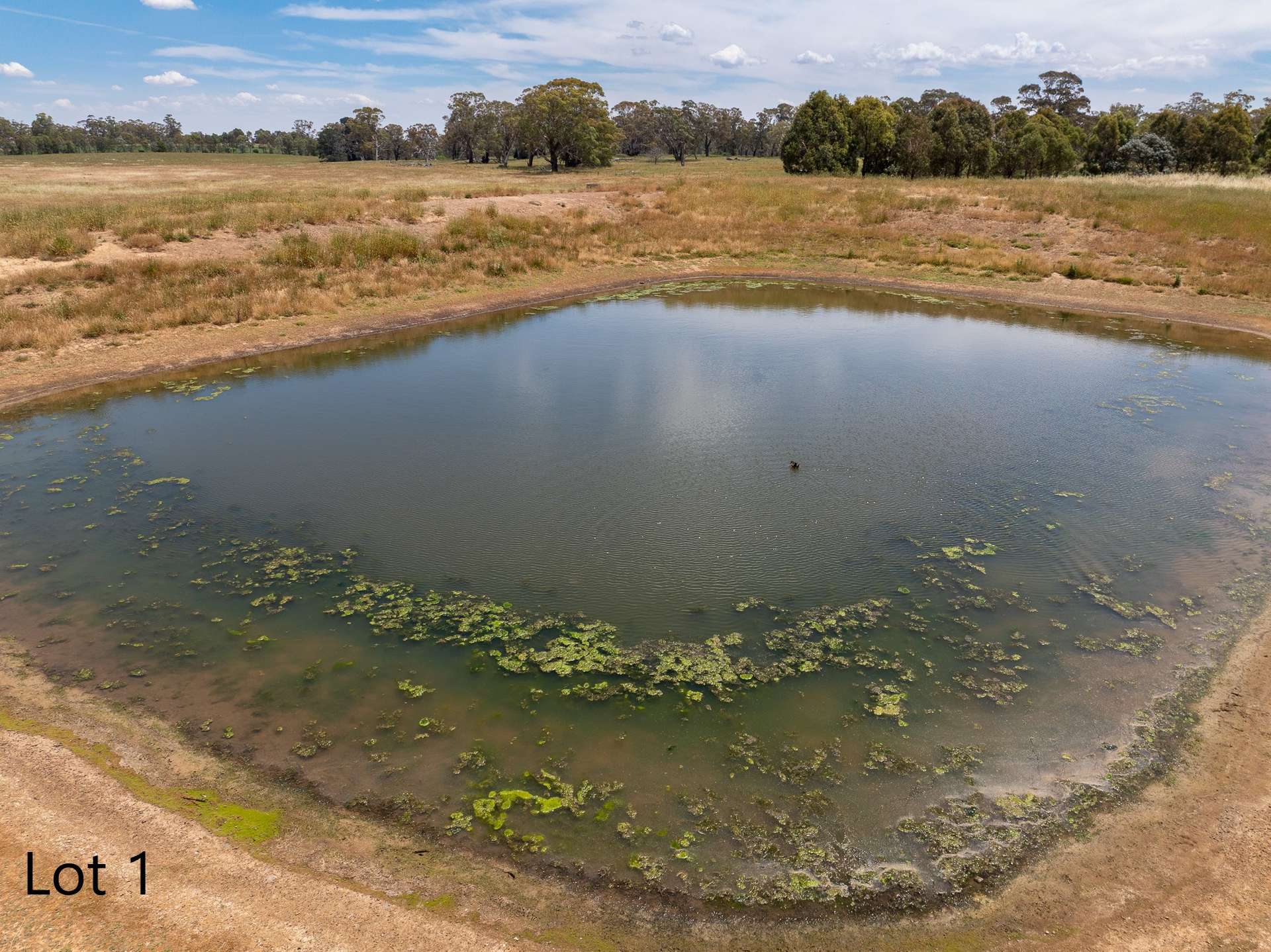 Lot 1 & 2, 56 Orchard Road, Springside For Sale by Farmbuy.com - image 17