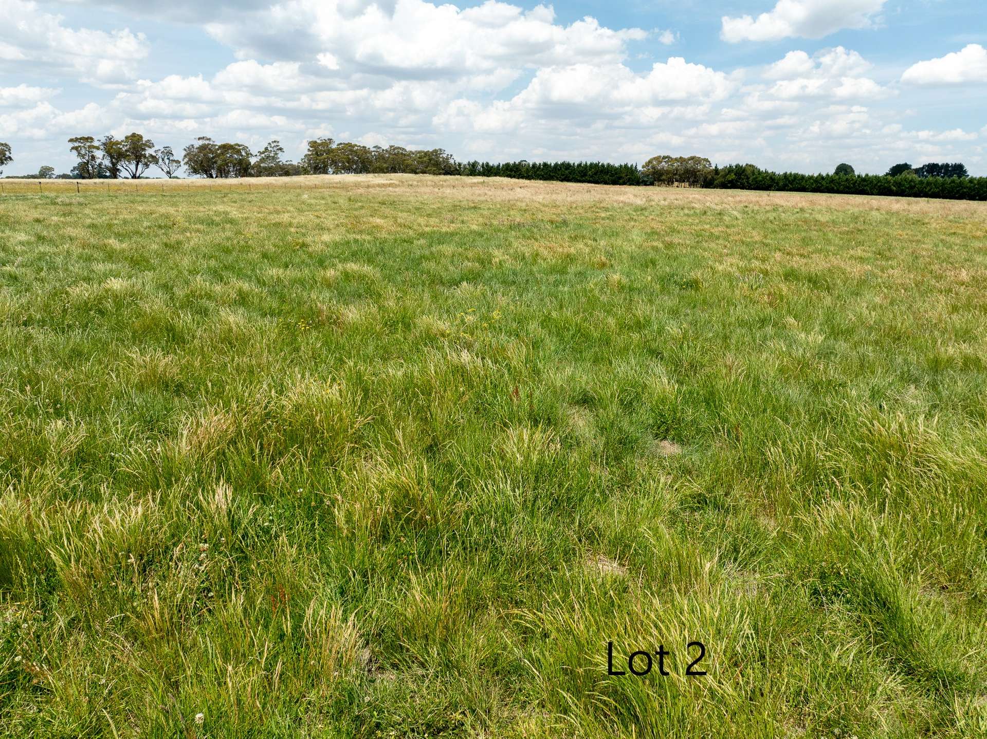 Lot 1 & 2, 56 Orchard Road, Springside For Sale by Farmbuy.com - image 23
