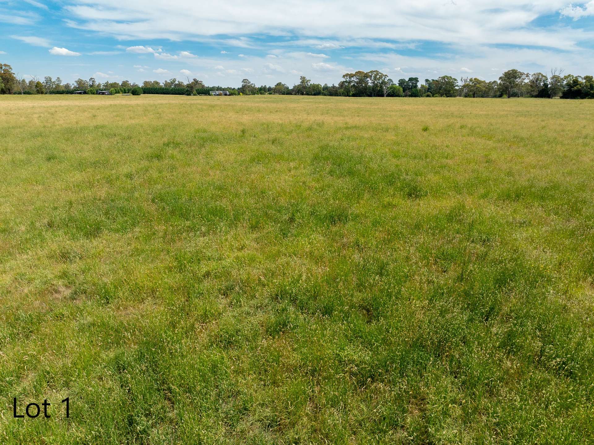 Lot 1 & 2, 56 Orchard Road, Springside For Sale by Farmbuy.com - image 3