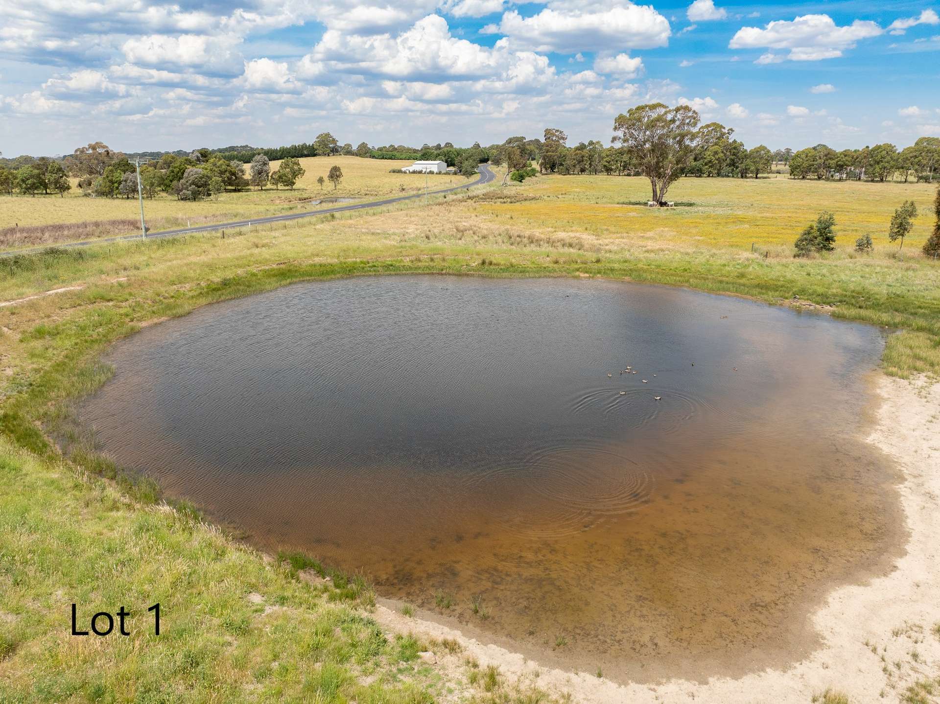 Lot 1 & 2, 56 Orchard Road, Springside For Sale by Farmbuy.com - image 18