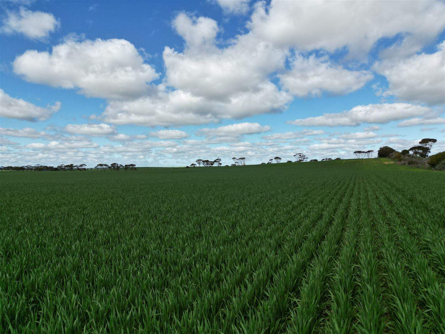 8158 Spencer Highway, Alford For Sale by Farmbuy.com - image 3