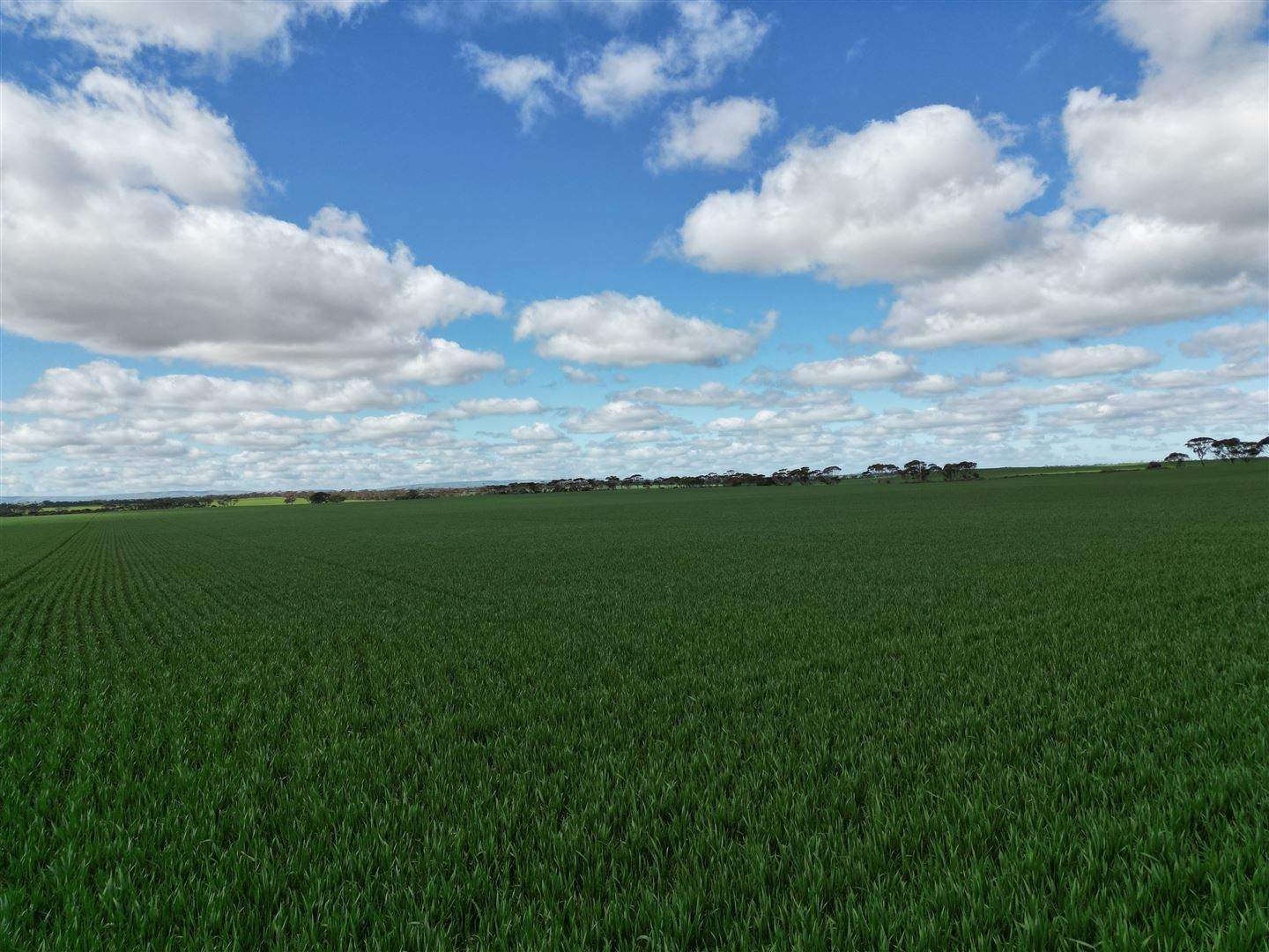 8158 Spencer Highway, Alford For Sale by Farmbuy.com - image 5