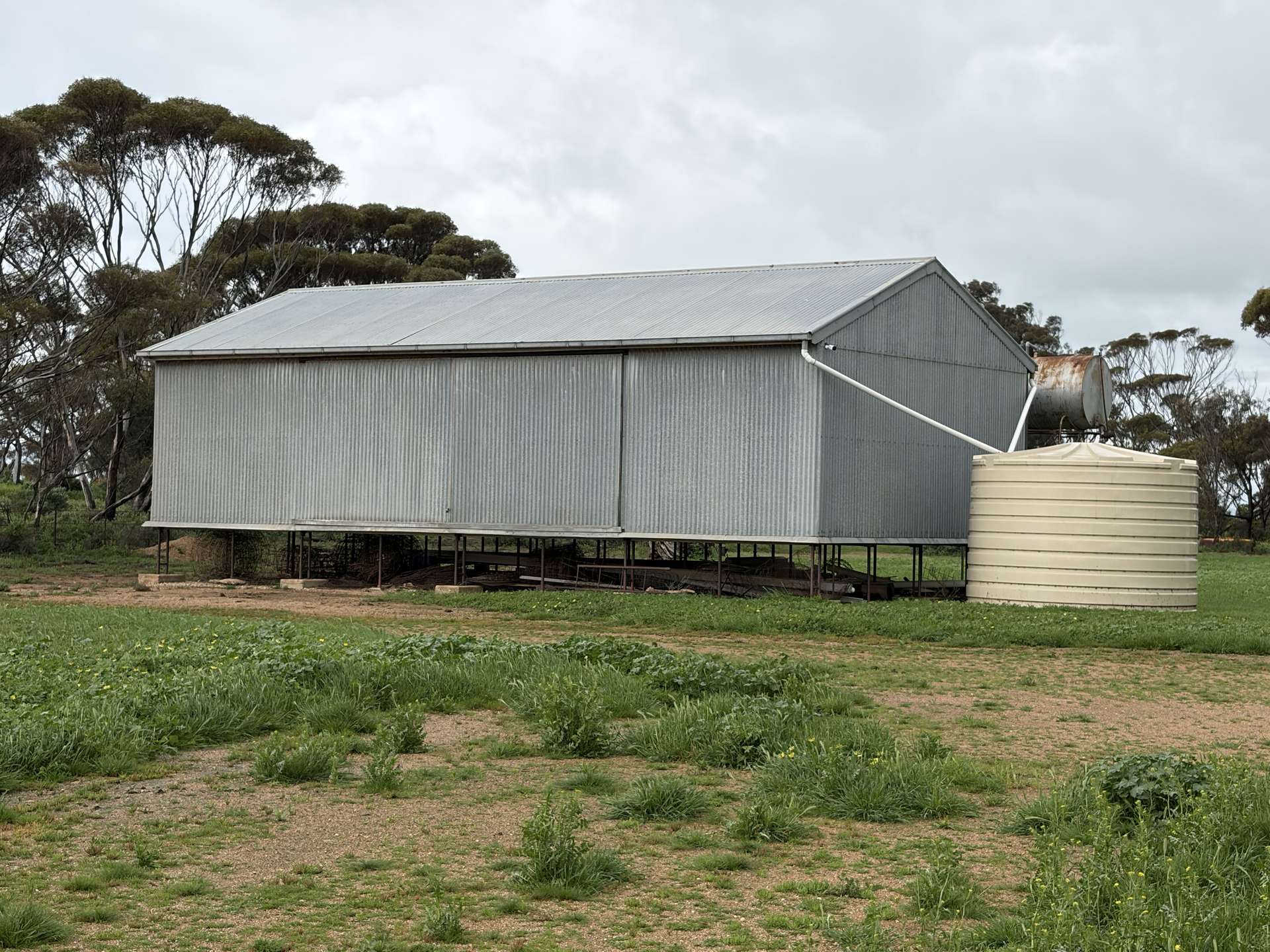 8158 Spencer Highway, Alford For Sale by Farmbuy.com - image 13