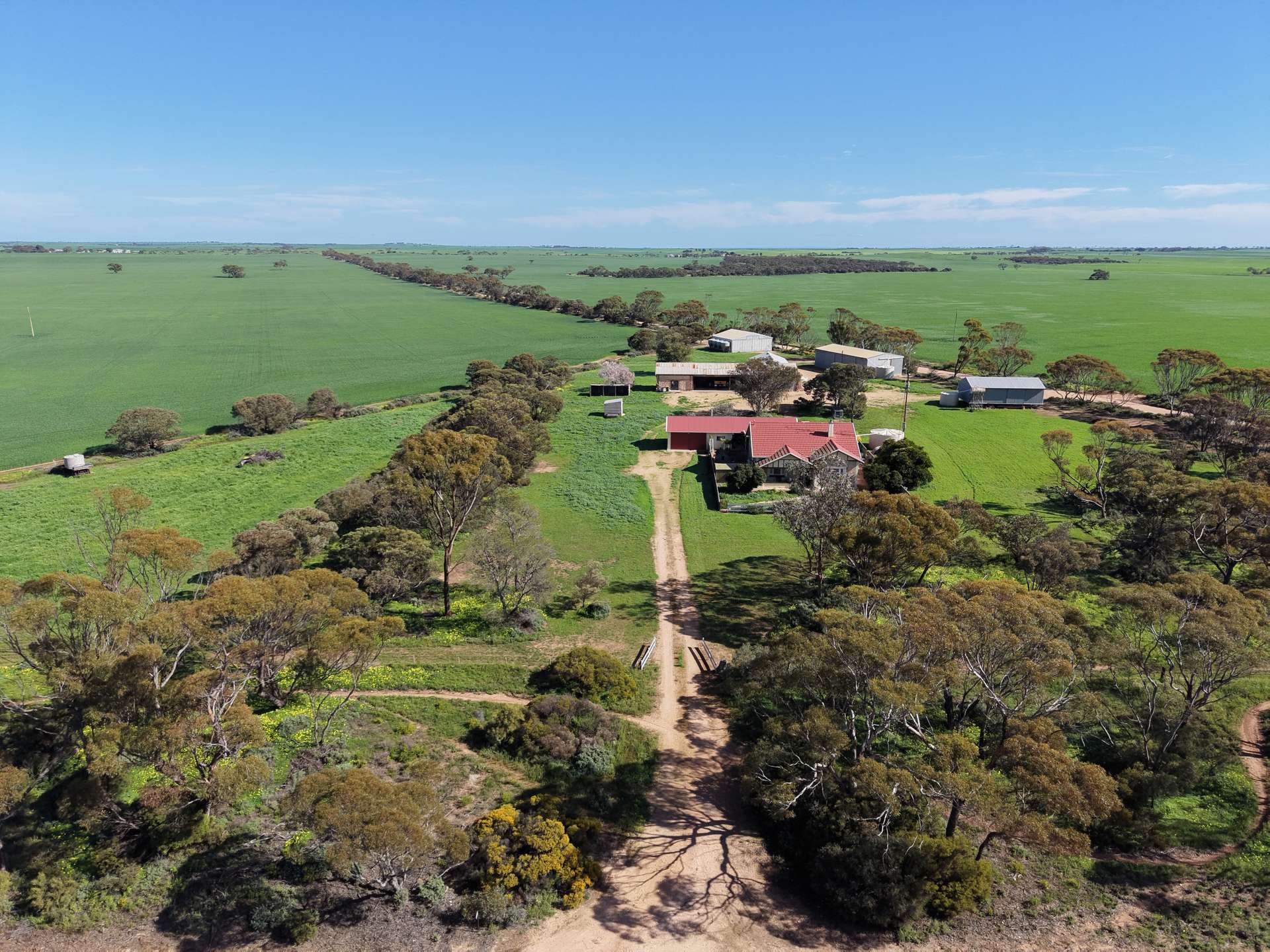 8158 Spencer Highway, Alford For Sale by Farmbuy.com - image 10