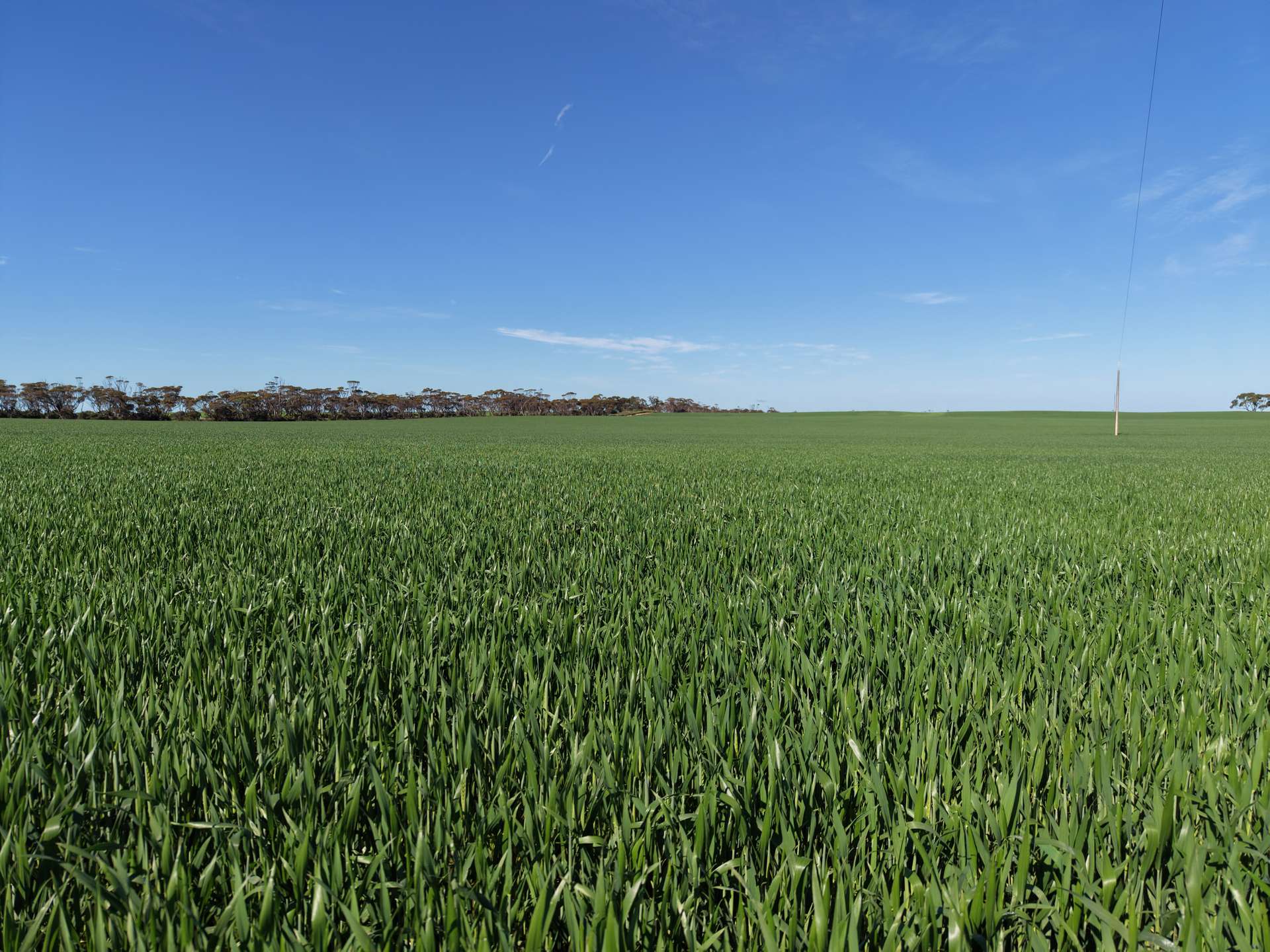 8158 Spencer Highway, Alford For Sale by Farmbuy.com - image 16