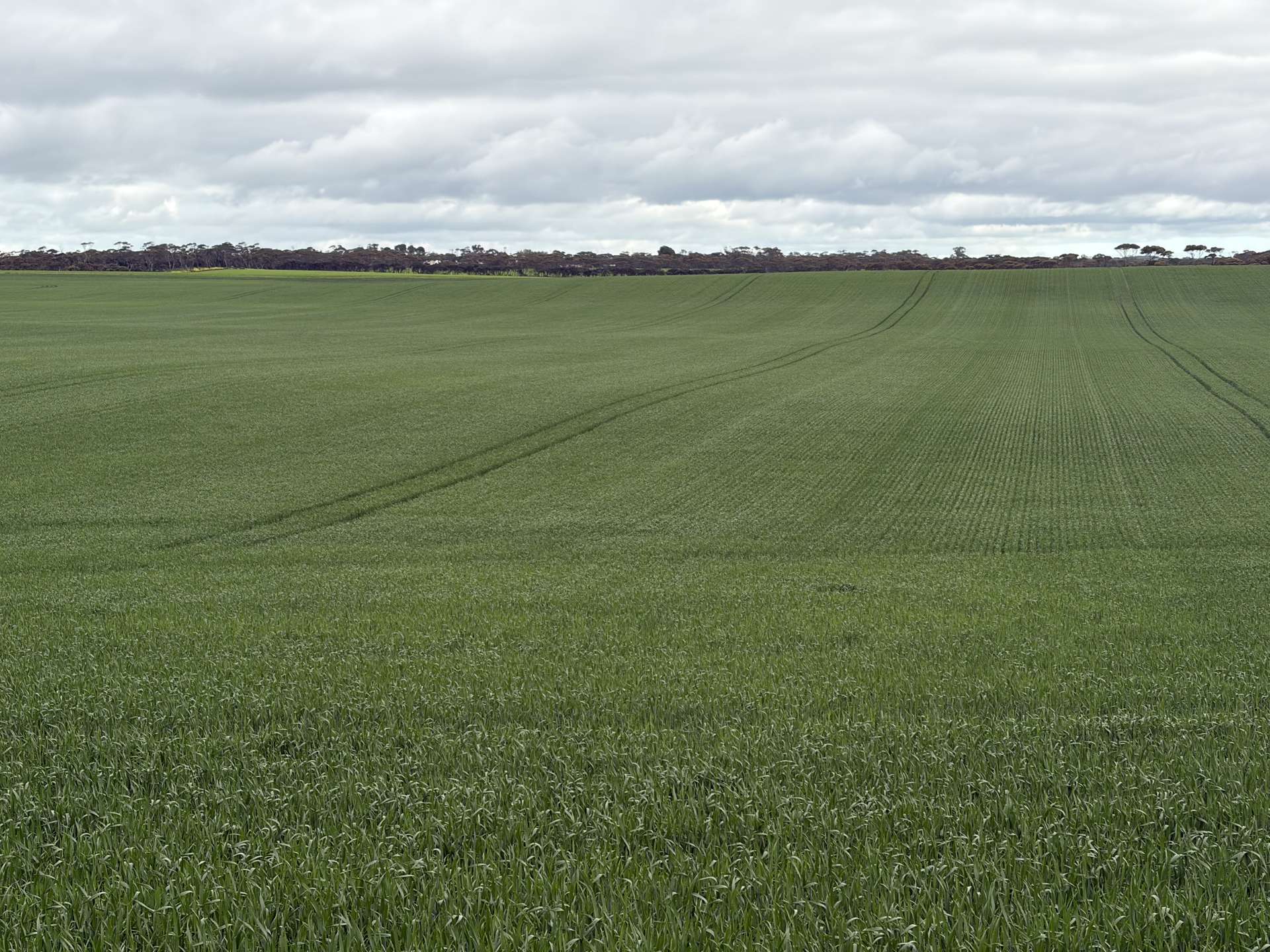 8158 Spencer Highway, Alford For Sale by Farmbuy.com - image 19