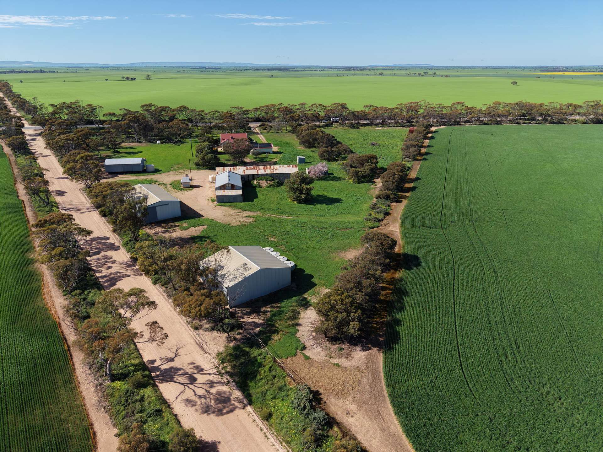 8158 Spencer Highway, Alford For Sale by Farmbuy.com - image 11