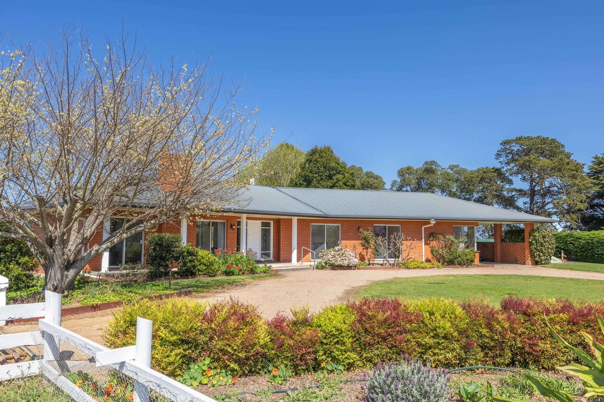 216 Ellasville Road, Nicholson For Sale by Farmbuy.com - image 7