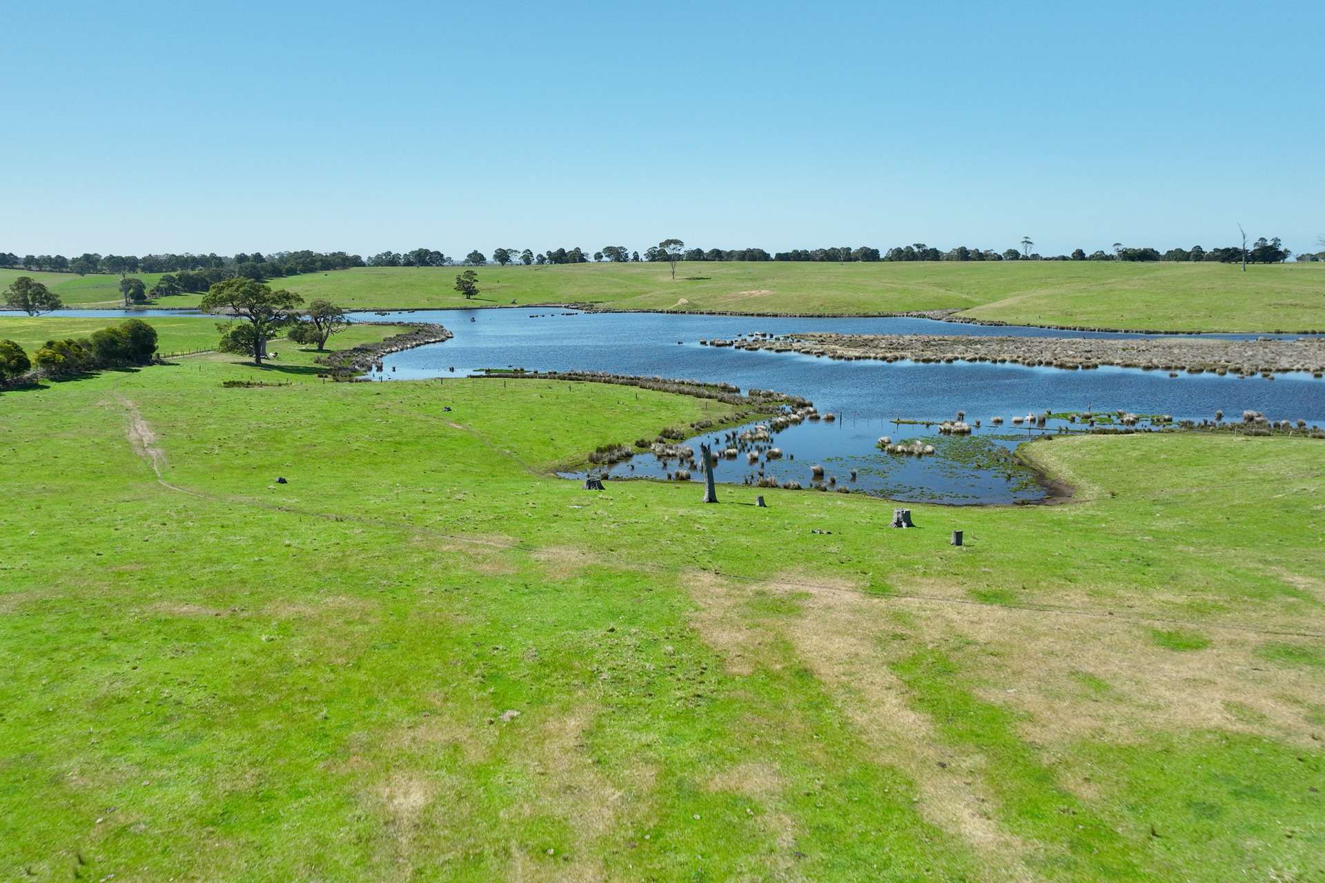 216 Ellasville Road, Nicholson For Sale by Farmbuy.com - image 25