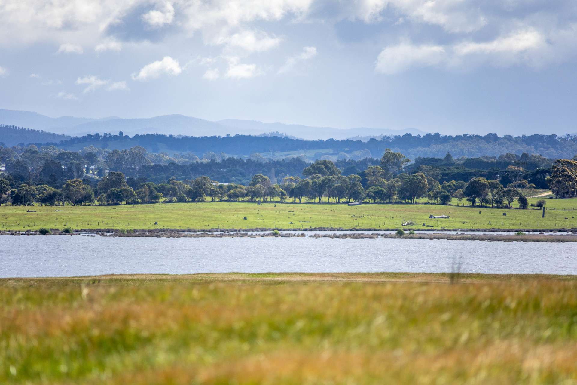 216 Ellasville Road, Nicholson For Sale by Farmbuy.com - image 29