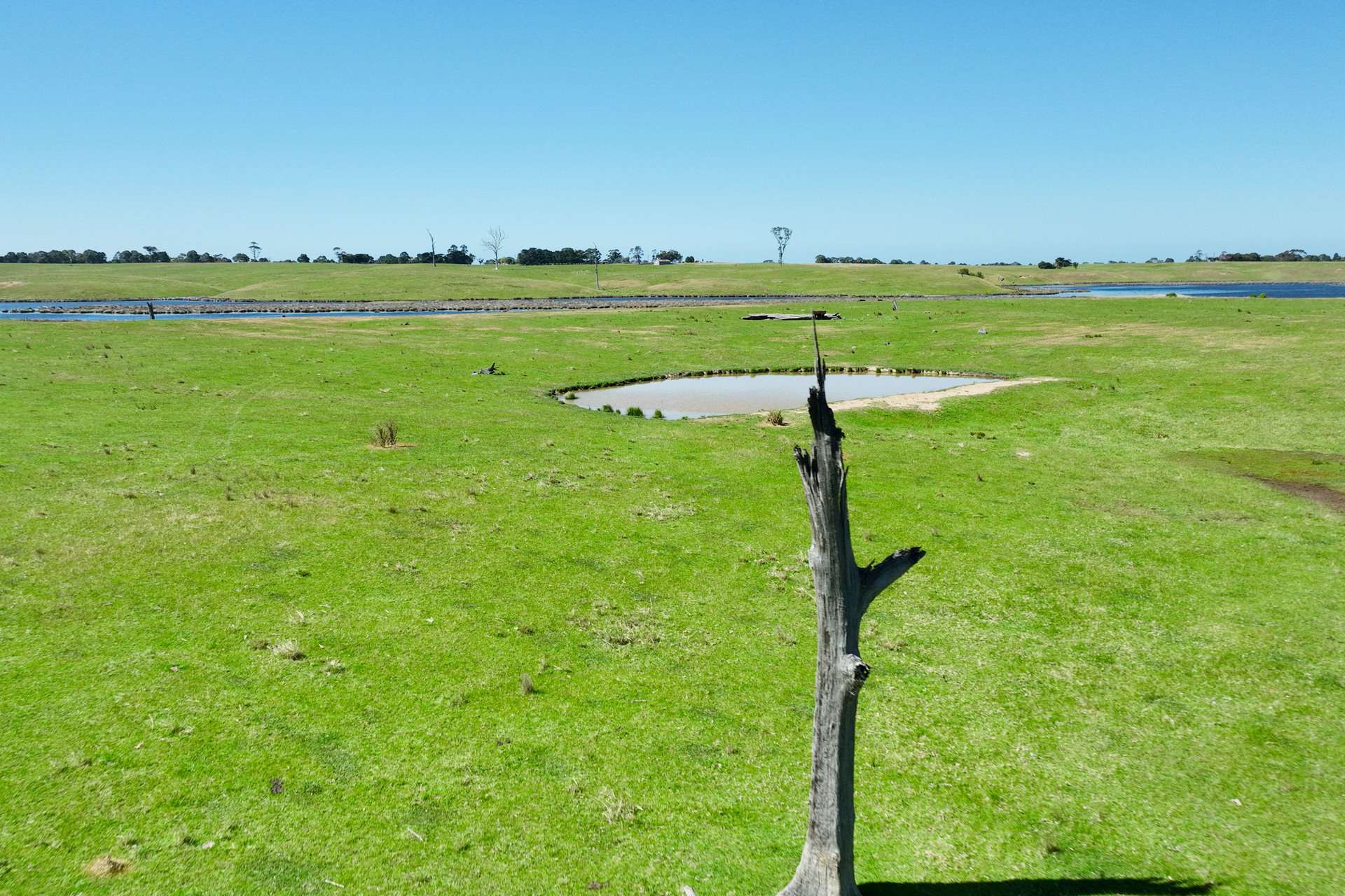 216 Ellasville Road, Nicholson For Sale by Farmbuy.com - image 27