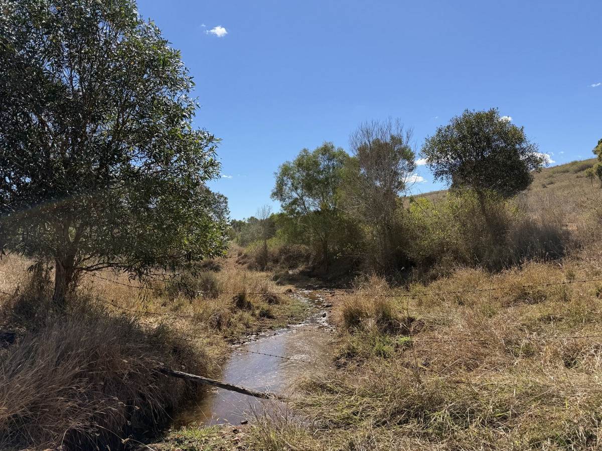 "Hidden Waters" 1944 Yarrol Road, Monto For Sale by Farmbuy.com - image 11