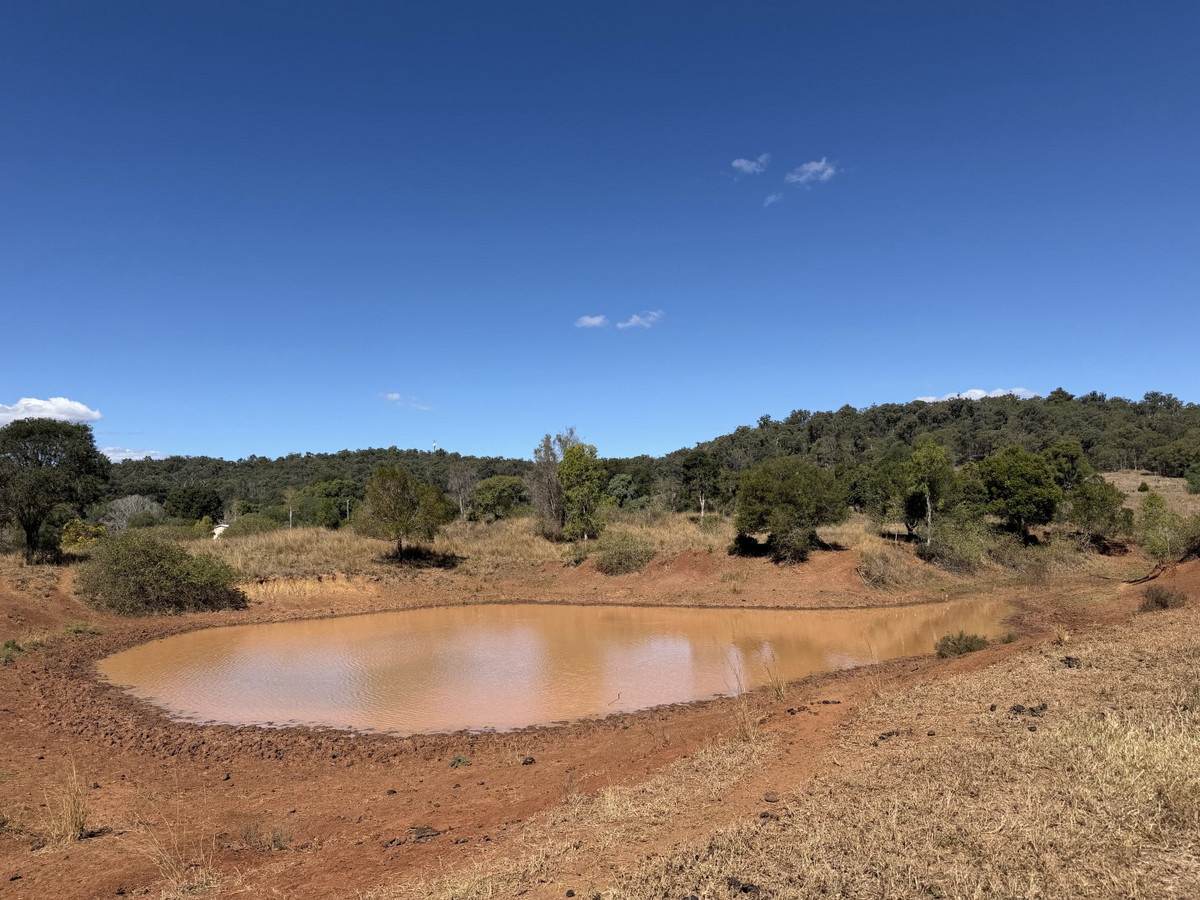 "Hidden Waters" 1944 Yarrol Road, Monto For Sale by Farmbuy.com - image 17