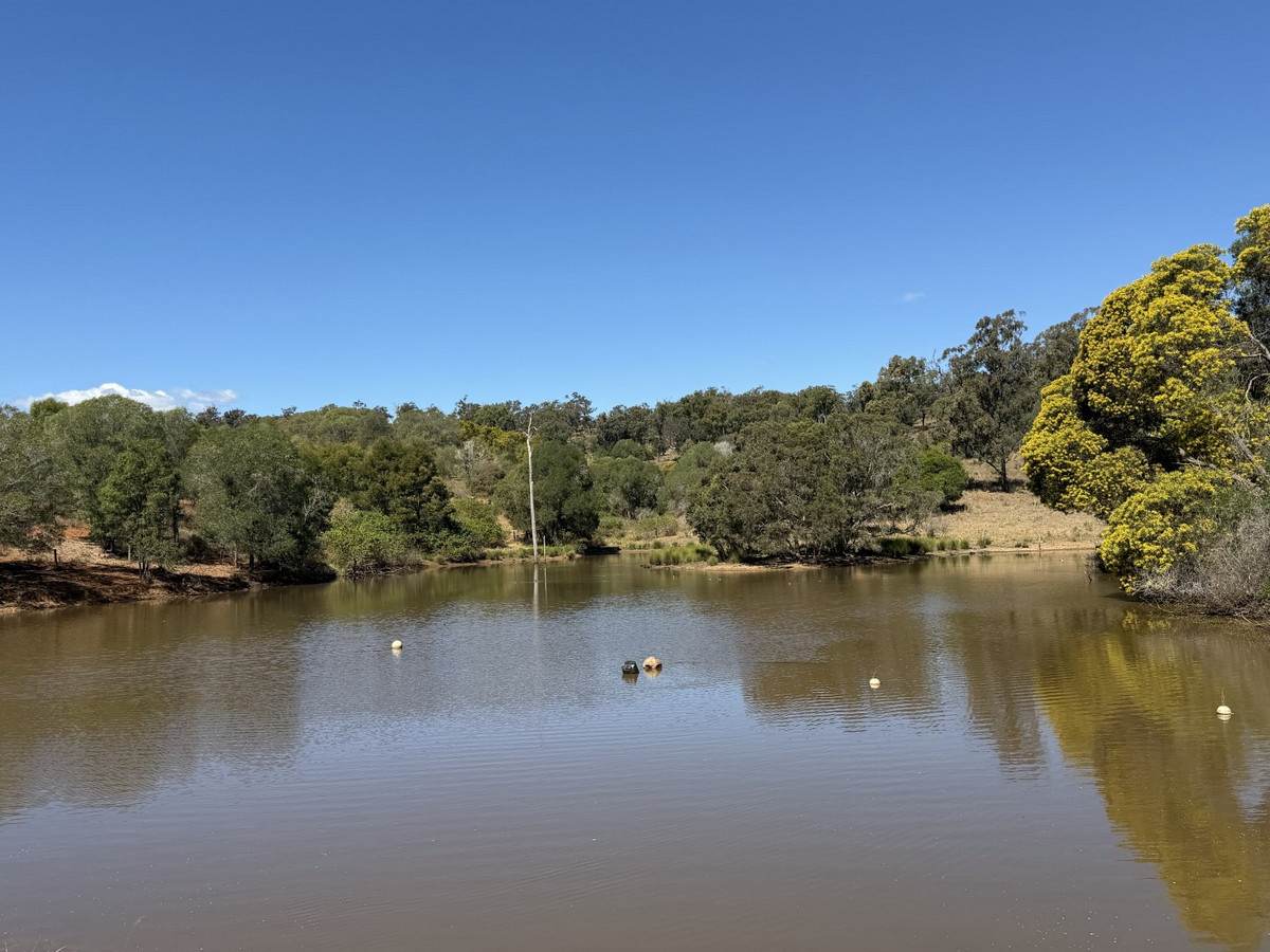 "Hidden Waters" 1944 Yarrol Road, Monto For Sale by Farmbuy.com - image 4