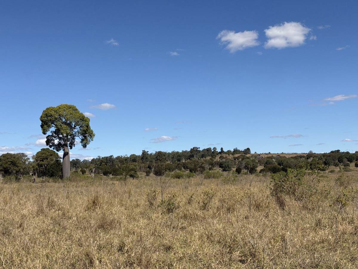 "Hidden Waters" 1944 Yarrol Road, Monto For Sale by Farmbuy.com - image 20