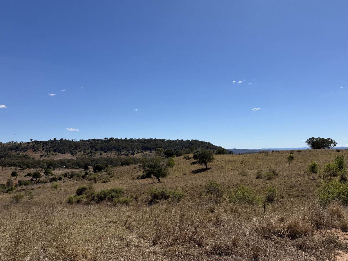 "Hidden Waters" 1944 Yarrol Road, Monto For Sale by Farmbuy.com - image 7