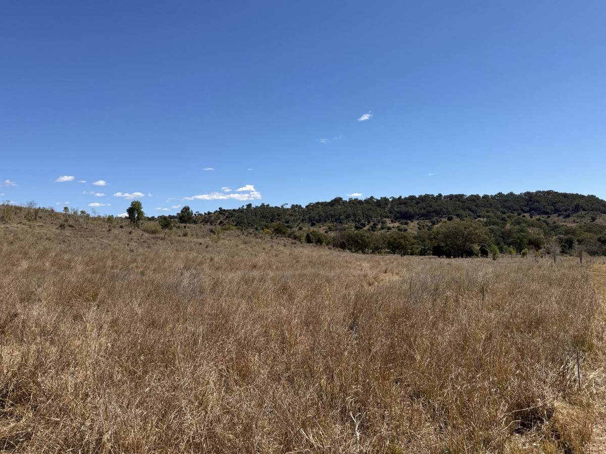 "Hidden Waters" 1944 Yarrol Road, Monto For Sale by Farmbuy.com - image 6