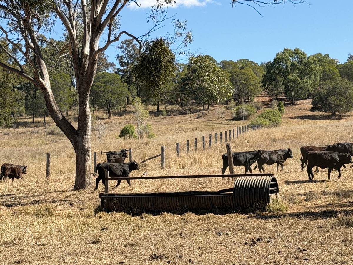"Hidden Waters" 1944 Yarrol Road, Monto For Sale by Farmbuy.com - image 23