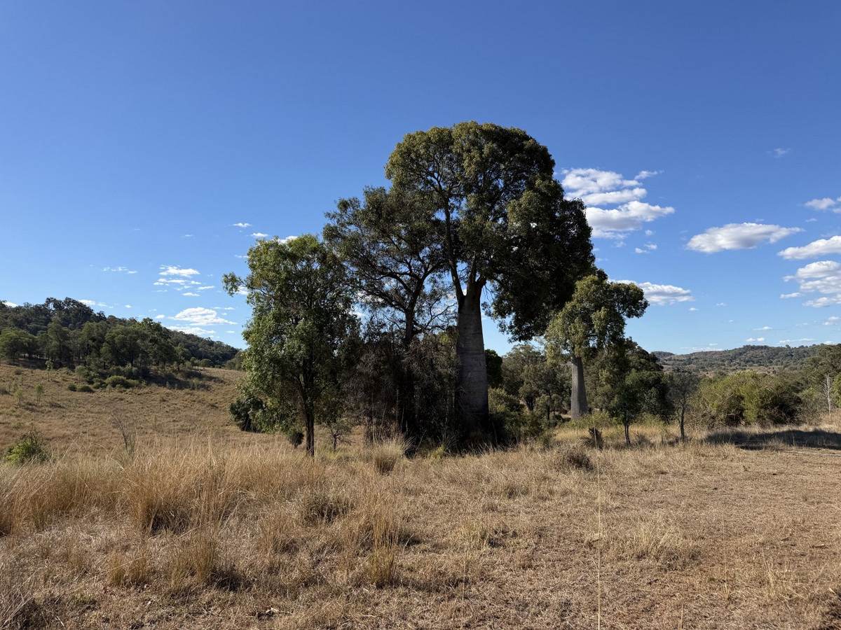"Hidden Waters" 1944 Yarrol Road, Monto For Sale by Farmbuy.com - image 35